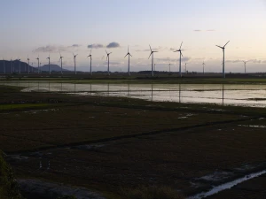 Osório wind farms. Brazil