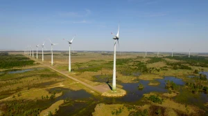 Palmares wind farms