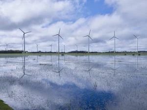 Osório wind farms. Brazil